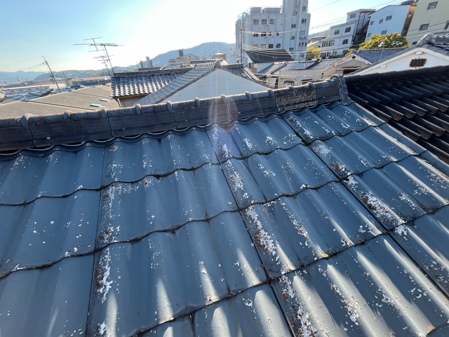 遮熱　セメント瓦 (6)